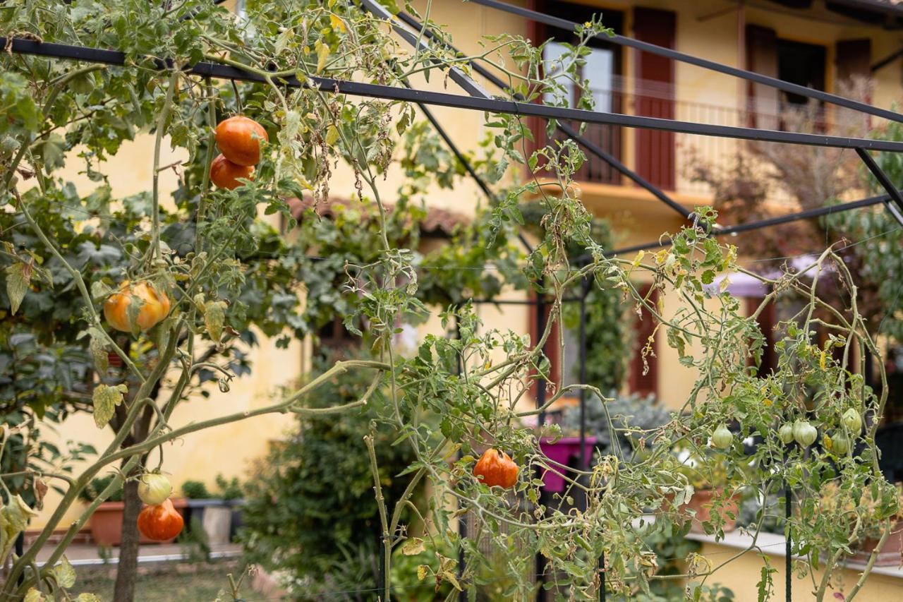La Valle B&B 아스티 외부 사진