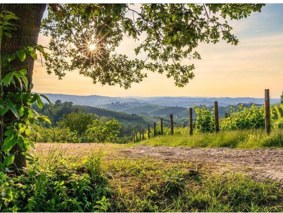La Valle B&B 아스티 외부 사진