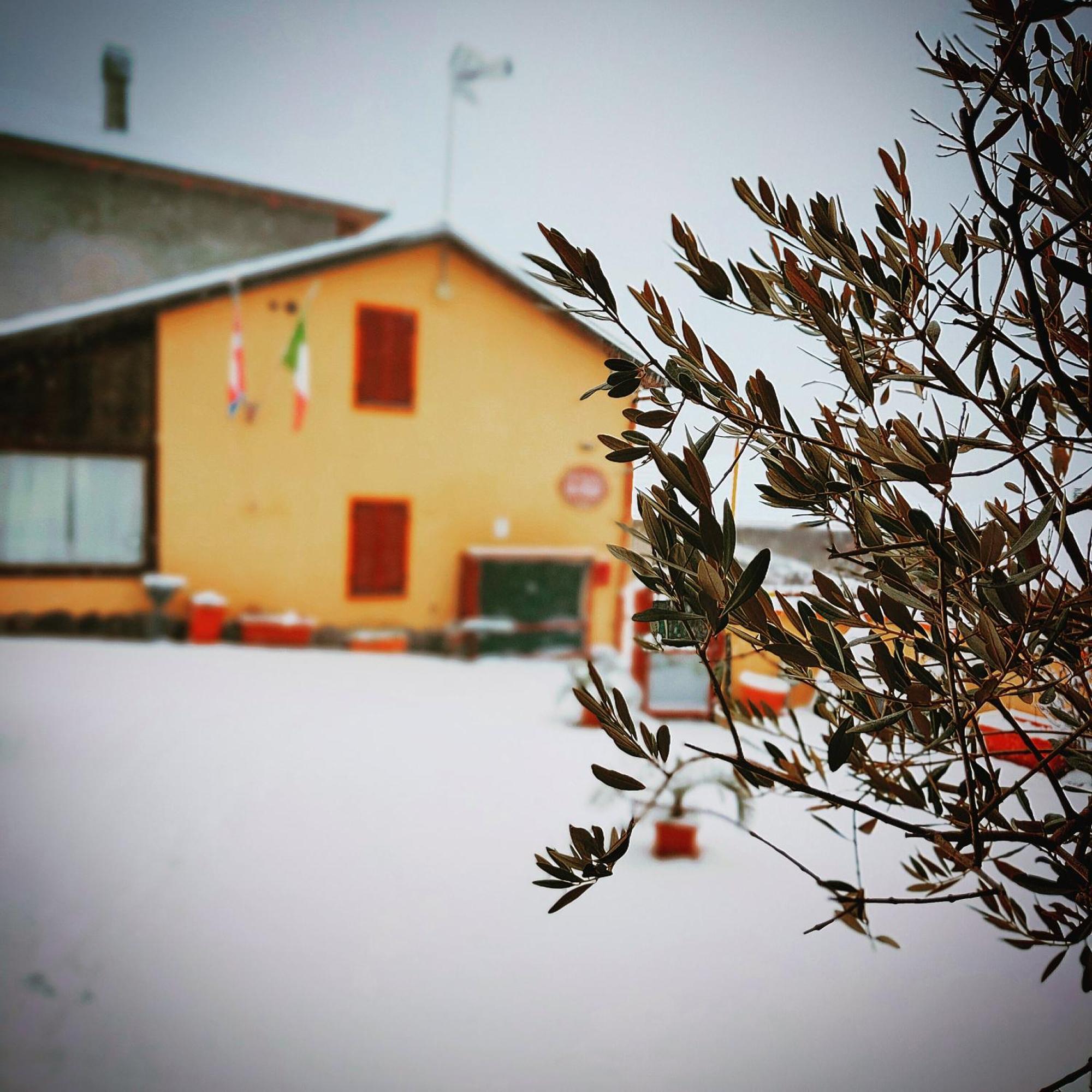 La Valle B&B 아스티 외부 사진